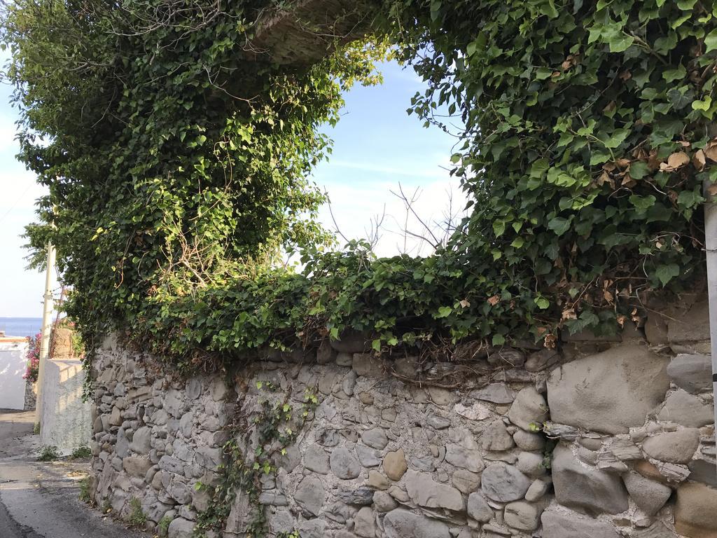 Casa Paloma Daire Letojanni Dış mekan fotoğraf